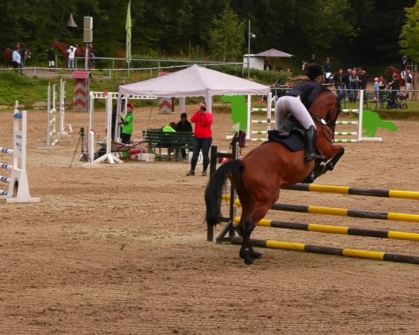 Reitturnier Lgl.-Oberhain, B95 2022
