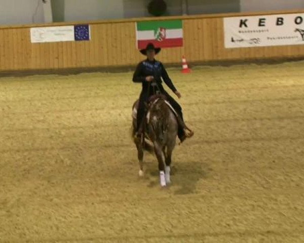 horse Nic's Peppy Kayla (Appaloosa, 2003, from Nics Peppy Train)