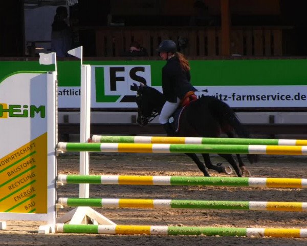 Reitturnier Lgl.-Oberhain, B95 2022