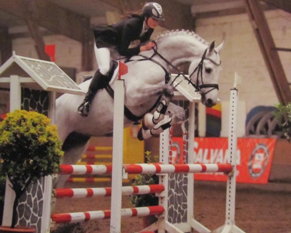 jumper Chandor 9 (Holsteiner, 2002, from Carano)