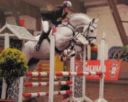 jumper Chandor 9 (Holsteiner, 2002, from Carano)