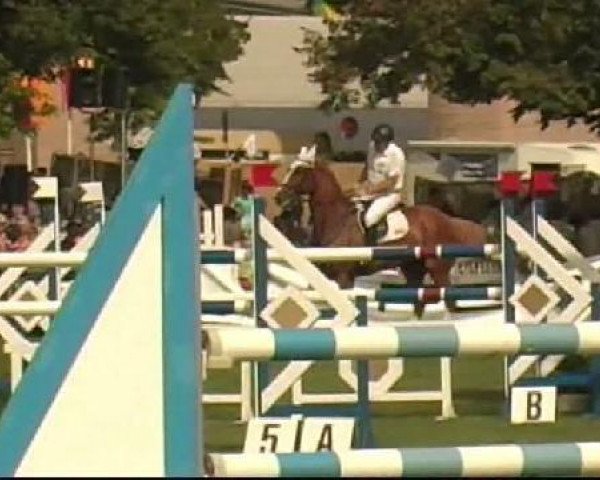 jumper Tres Certain (KWPN (Royal Dutch Sporthorse), 2000, from Guidam)