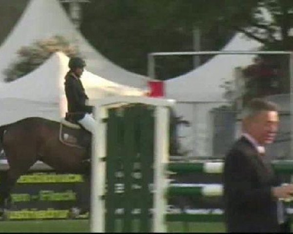 jumper Crunch de Bergerac (Württemberger, 2006, from Cyrano de Bergerac)