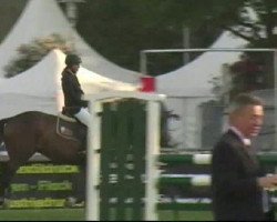 jumper Crunch de Bergerac (Württemberger, 2006, from Cyrano de Bergerac)