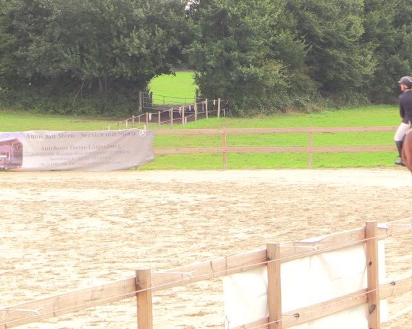 Reitturnier Looper Holz 2022