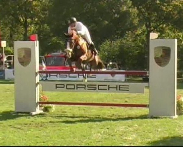 jumper Magnum du Chable CH (Swiss Warmblood, 2000, from Roy d'Artoire)