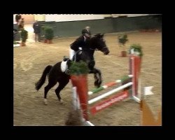 jumper Rubin 644 (unknown, 2006)