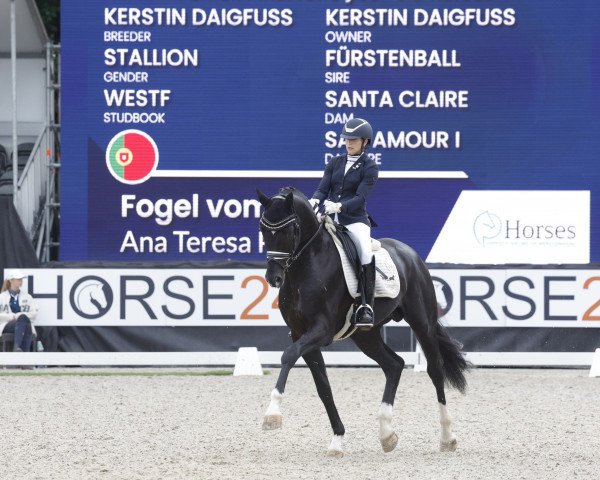 Cavallo da Dressage Fogel Vom Lauf (Westfale, 2017, di Fürstenball)