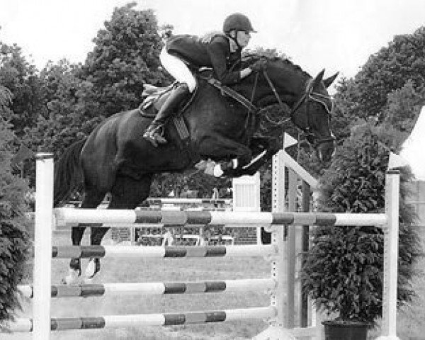 jumper Goody Gucci (Hanoverian, 1999, from Ginsberg)