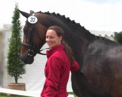 broodmare Royal Rose (Westphalian, 1996, from Rohdiamant)