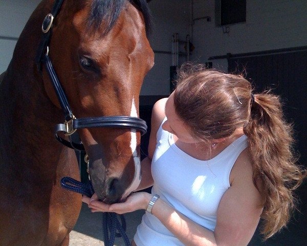 dressage horse Liberi (Sachse, 1999, from Liberator 2574)