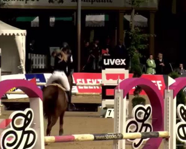 Video von Quh