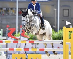 Springpferd Hamanta B (KWPN (Niederländisches Warmblut), 2012, von Dakar VDL)