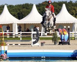 jumper Firocco (KWPN (Royal Dutch Sporthorse), 2010, from Zirocco Blue)