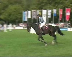 jumper L B Look At Me (Oldenburg, 2002, from Lamentos)