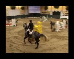 jumper Capuano (Holsteiner, 2004, from Claudio)