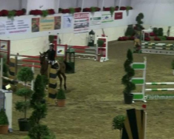 jumper Marakesch 56 (German Riding Pony, 2005, from Monte Verdi)