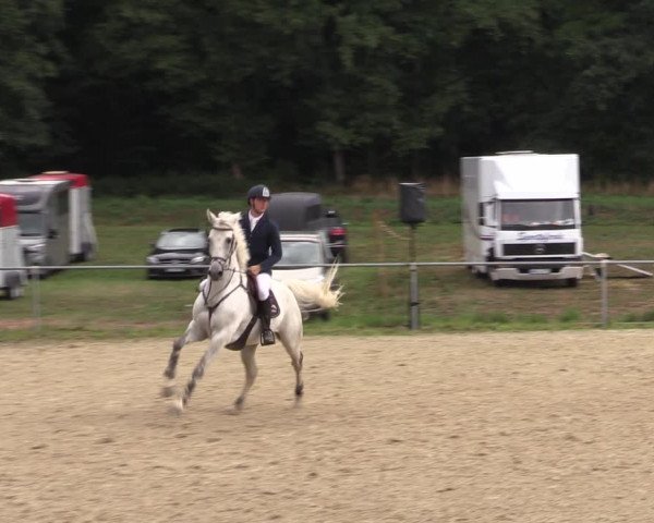 Reitturnier Bad Liebenstein/Sorga 2022