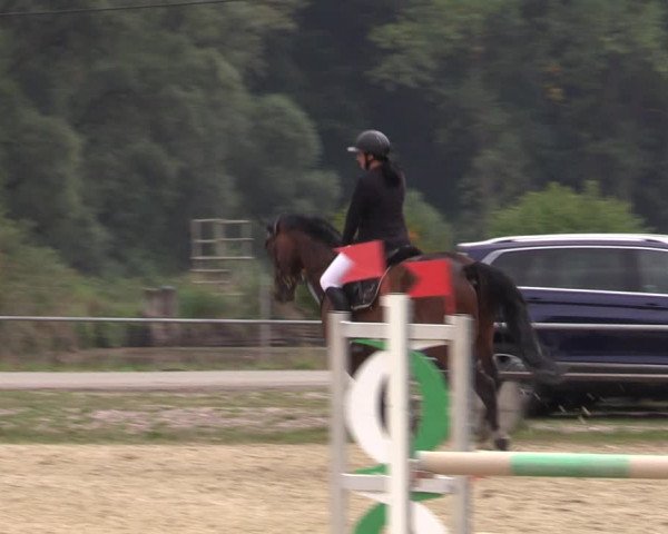 Reitturnier Bad Liebenstein/Sorga 2022