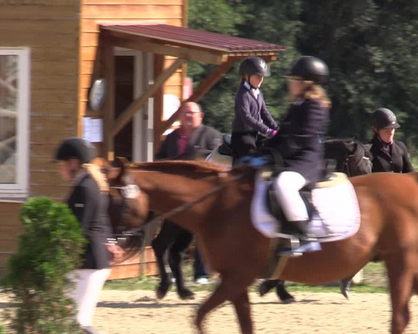 Reitturnier Bad Liebenstein/Sorga 2022