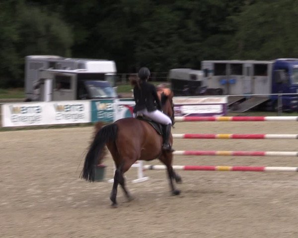 Equestrian Show Bad Liebenstein/Sorga 2022