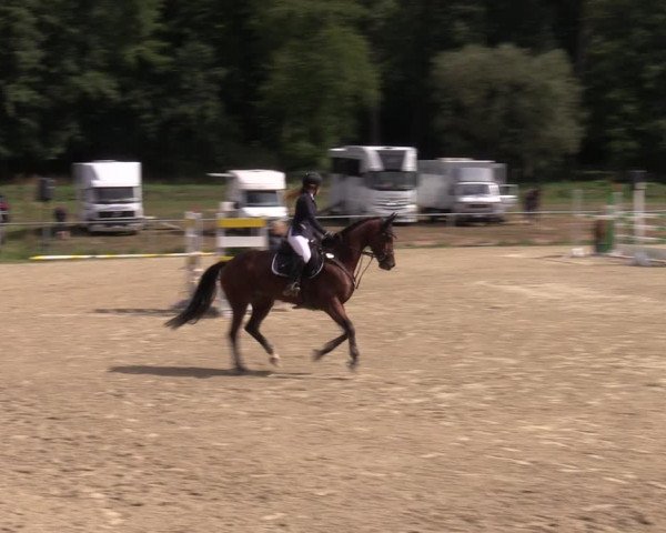 Reitturnier Bad Liebenstein/Sorga 2022