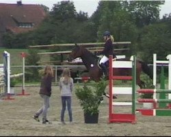 jumper Hugerlandshof's C'est la vie (Westphalian, 2004, from Collin L)