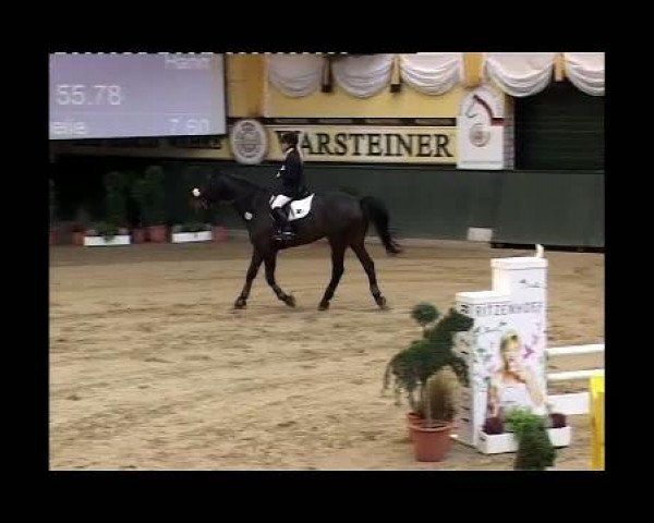 jumper Duck's Rambo (Hanoverian, 2000, from Rebel Z I)