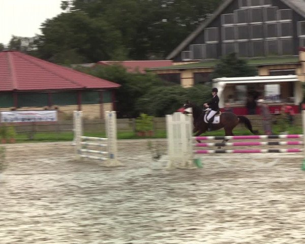Reitturnier Schülp / Rendsburg 2021