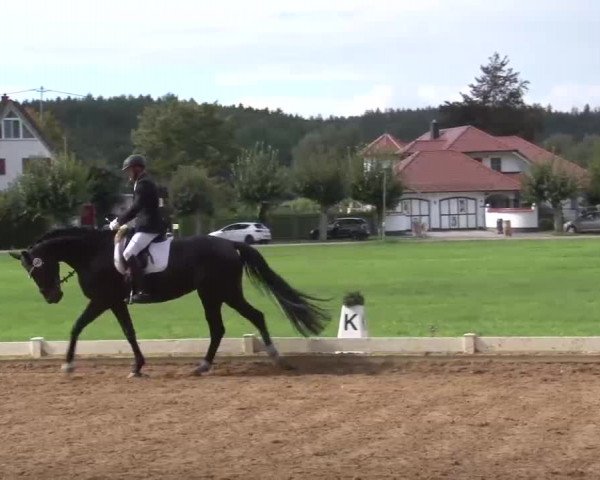 Reitturnier Babenhausen/Schw. 2022