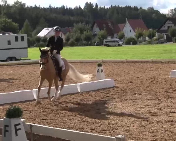 Reitturnier Babenhausen/Schw. 2022