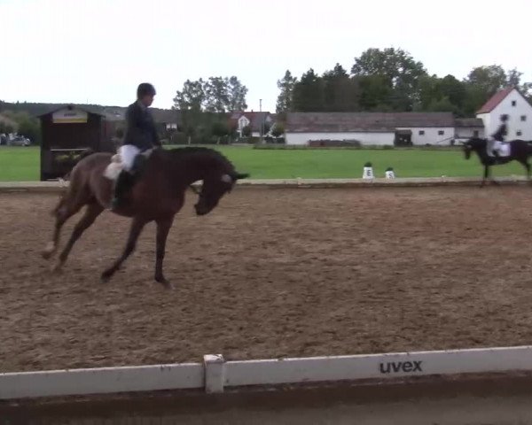 Reitturnier Babenhausen/Schw. 2022