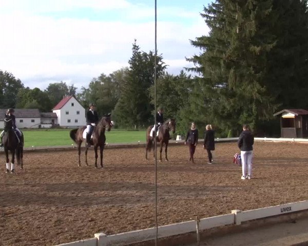 Reitturnier Babenhausen/Schw. 2022