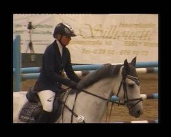 broodmare Saiba (Holsteiner, 2002, from Calido I)