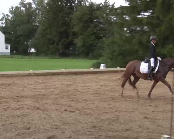 Reitturnier Babenhausen/Schw. 2022