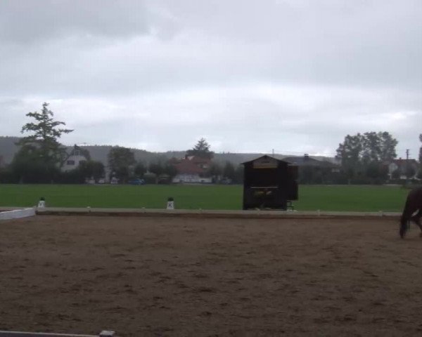 Reitturnier Babenhausen/Schw. 2022
