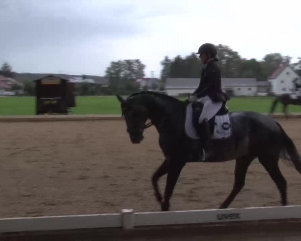 Reitturnier Babenhausen/Schw. 2022