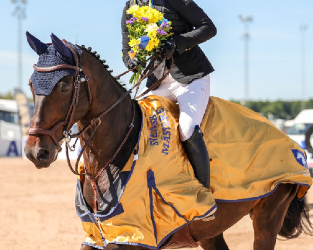 Caballo de salto Chopard 19 (KWPN (Warmblood Neerlandés), 2007, de Colandro)