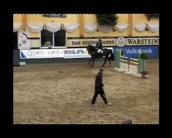 jumper Dumbledore L (Westphalian, 2001, from Dinard L)