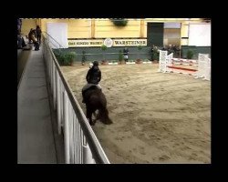 jumper Satchmo 115 (Oldenburg, 2003, from Shine On)