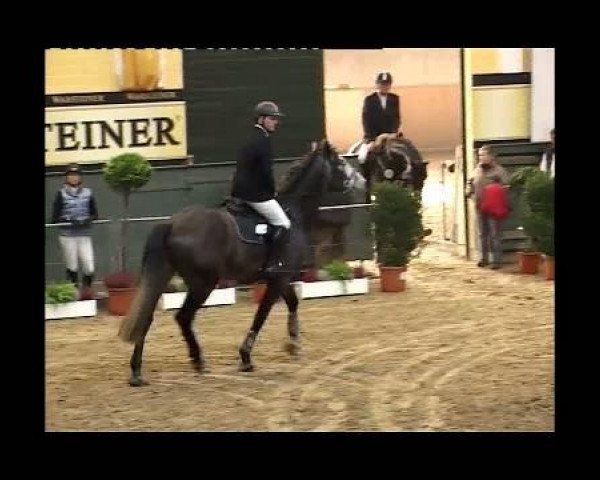 horse Come Over 4 (Westphalian, 1999, from Cordobes I)