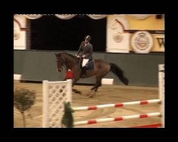 jumper Canturo 4 (Westphalian, 2004, from Charisma)
