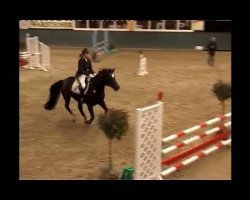 broodmare Ladylike 58 (Rhinelander, 2000, from Lancer II)