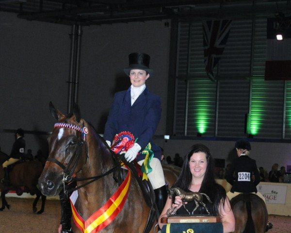 dressage horse Vishnu (KWPN (Royal Dutch Sporthorse), 2002, from Hemmingway)