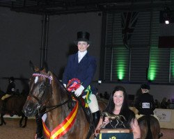 dressage horse Vishnu (KWPN (Royal Dutch Sporthorse), 2002, from Hemmingway)