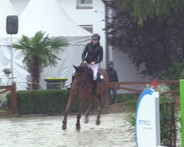 Equus Colonius - Reitanlage Brüse 2022