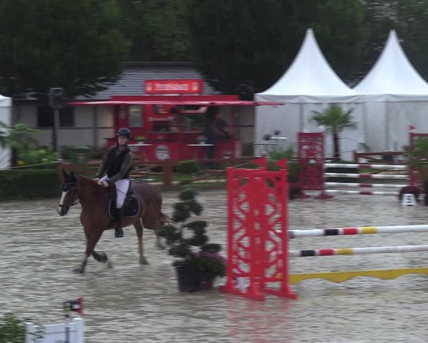 Equus Colonius - Reitanlage Brüse 2022