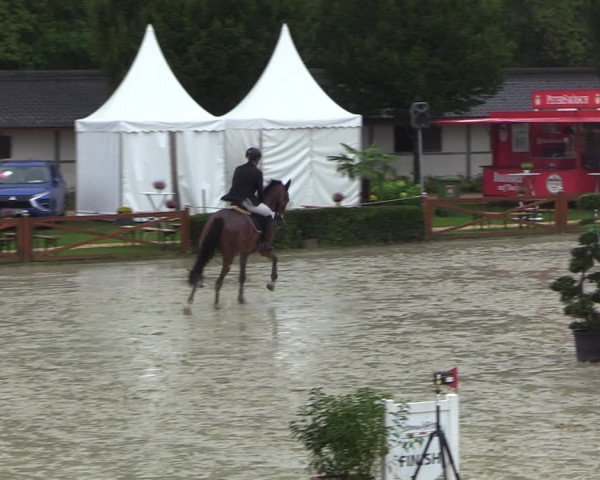 Equus Colonius - Reitanlage Brüse 2022
