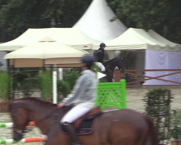 Equus Colonius - Reitanlage Brüse 2022