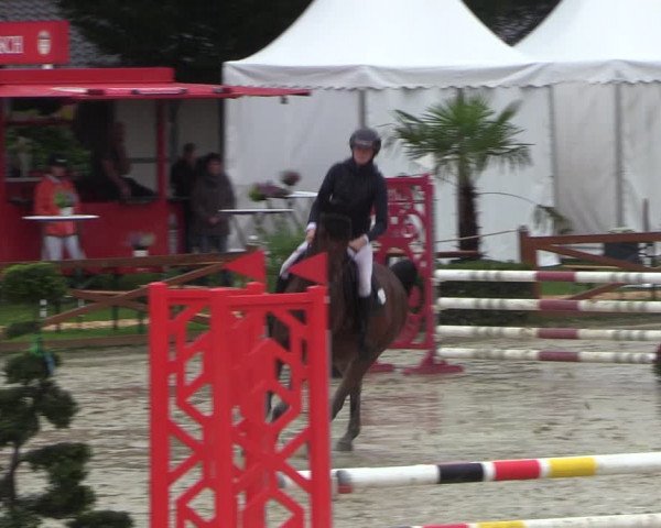 Equus Colonius - Reitanlage Brüse 2022